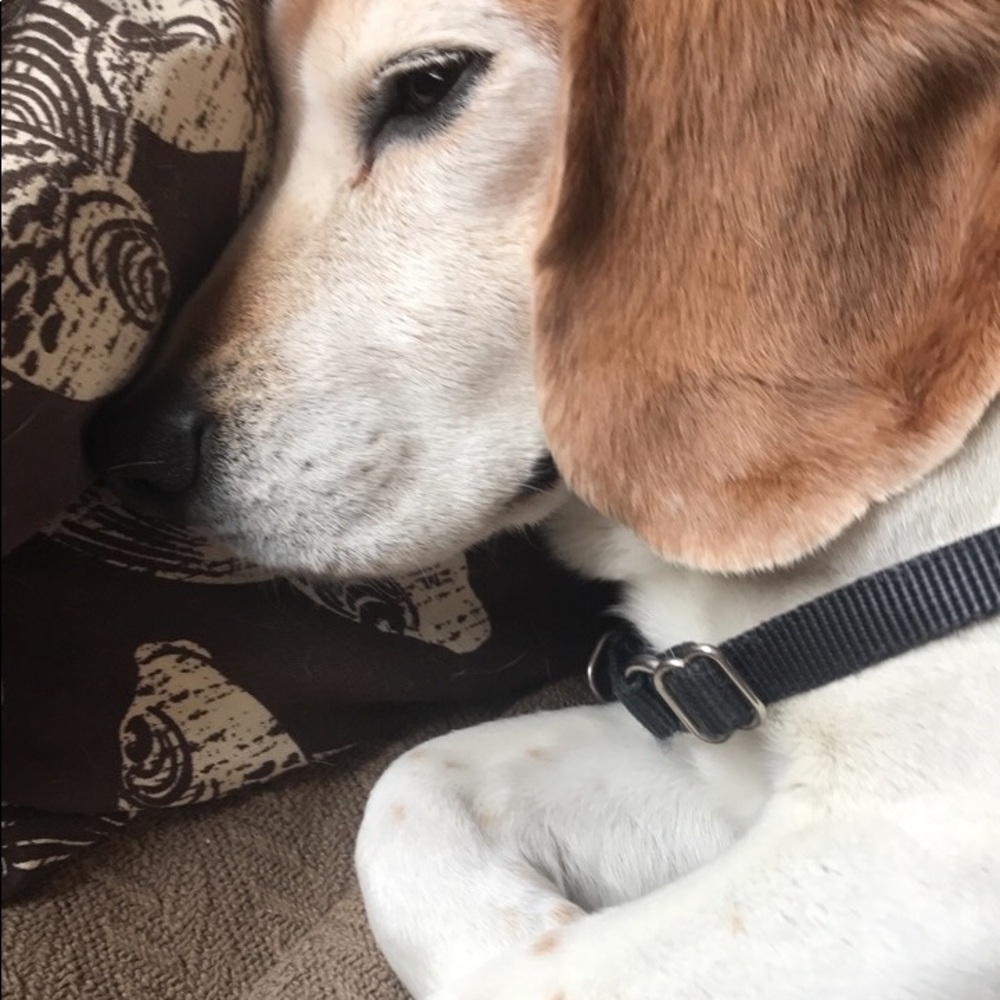 Meet your Posher, Rk